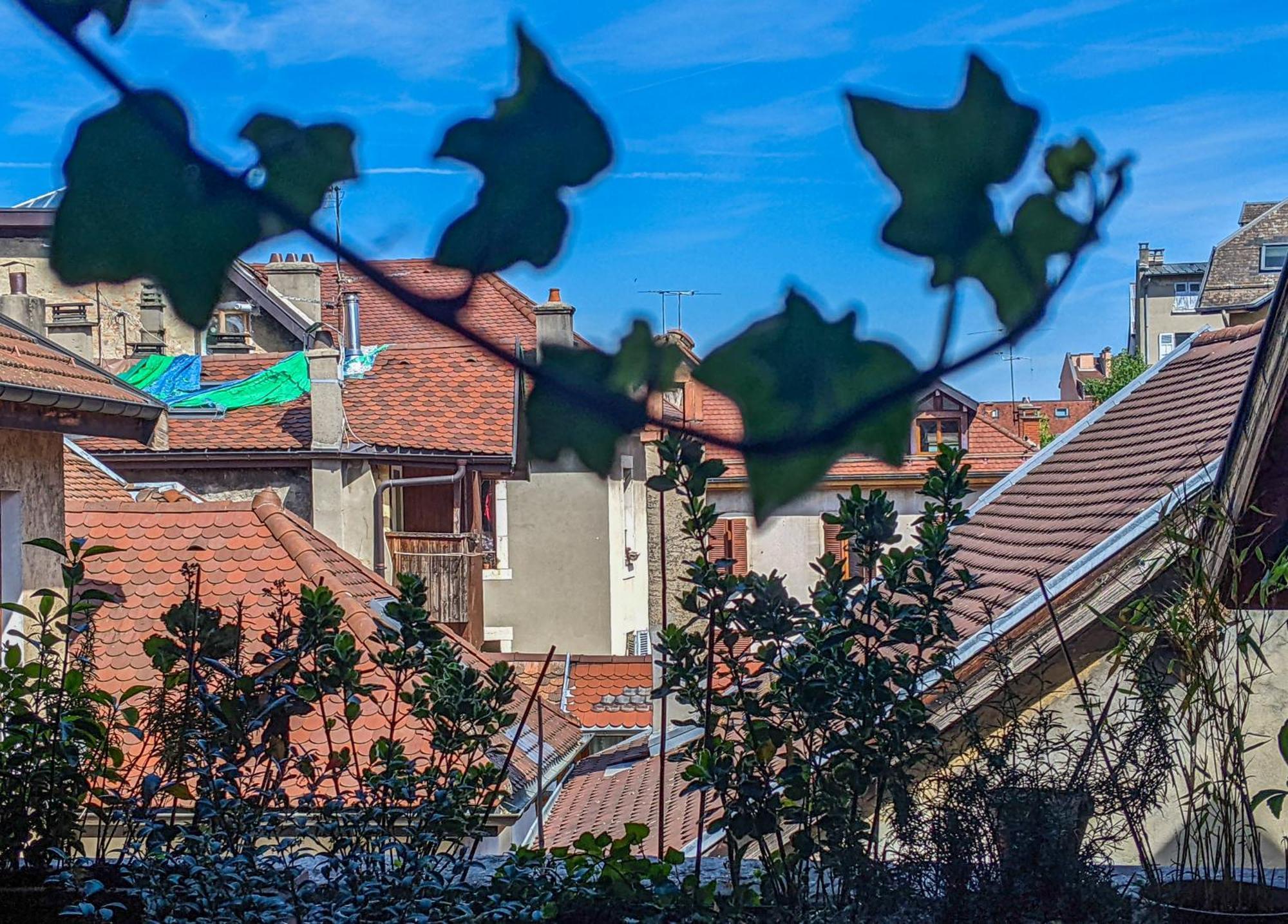 Bed and Breakfast Nid Douillet Annecy Esterno foto