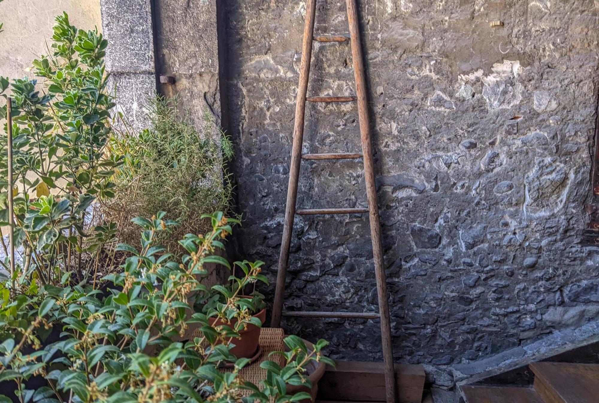 Bed and Breakfast Nid Douillet Annecy Esterno foto